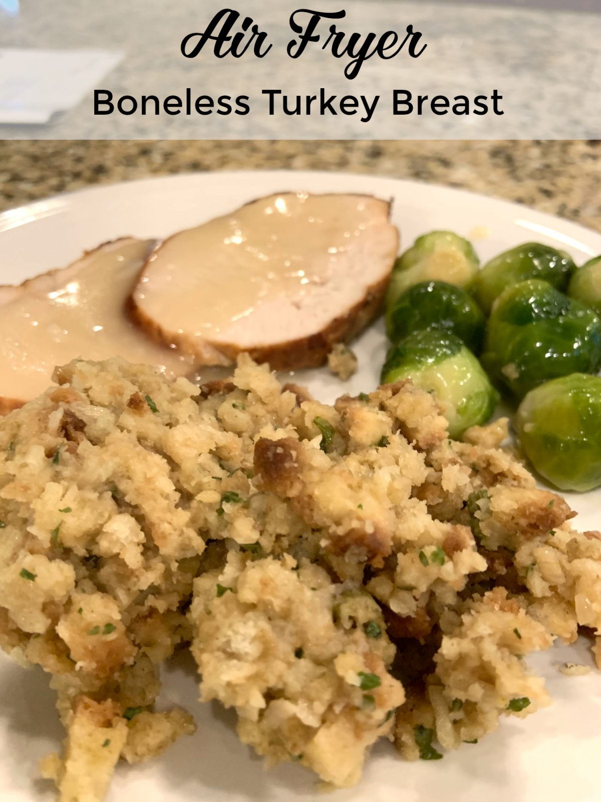 Air Fryer Turkey Breast Instant Vortex Plus or Omni Instant Pot Cooking