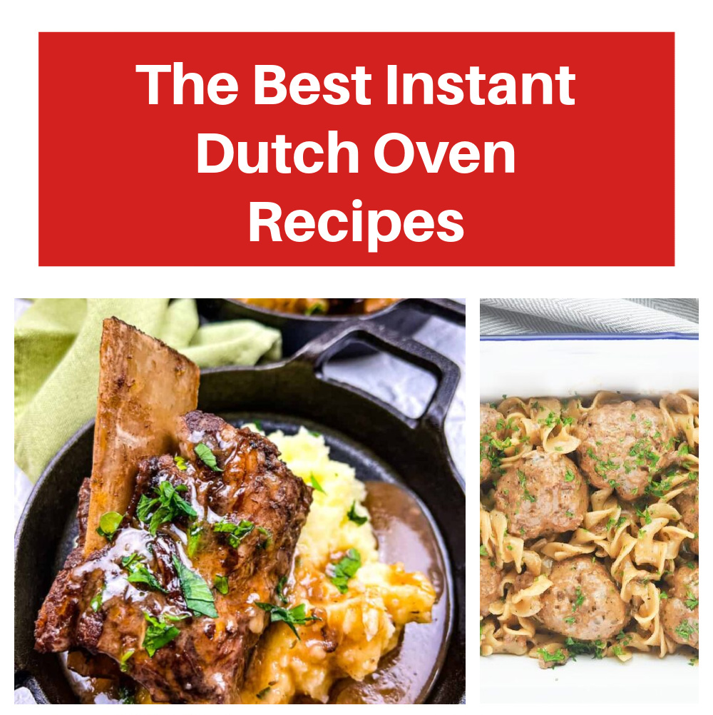 https://instantpotcooking.com/wp-content/uploads/2023/09/Instant-Pot-Precision-Dutch-Oven-Recipes.jpg